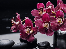 3D обои с рисунком орхидеи Design Studio 3D Цветы ORH015
