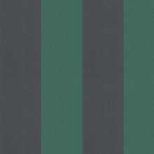 Зелёные обои в полоску Andrea Rossi Spectrum Max 54364-8