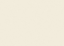 Rasch Step-Up W186002